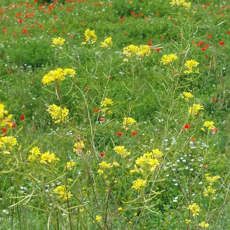 Casa vacanze Cal Mitger